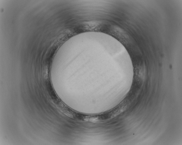 X0000062910602200602031859