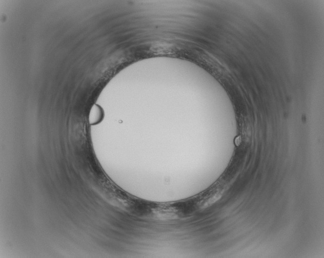 X0000062910603200602031859