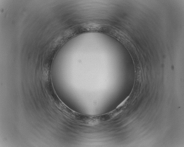 X0000062910604200602031859