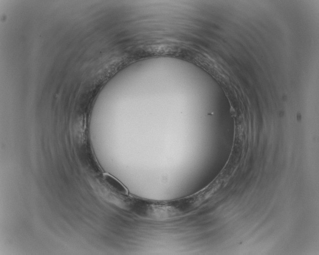 X0000062910605200602031859