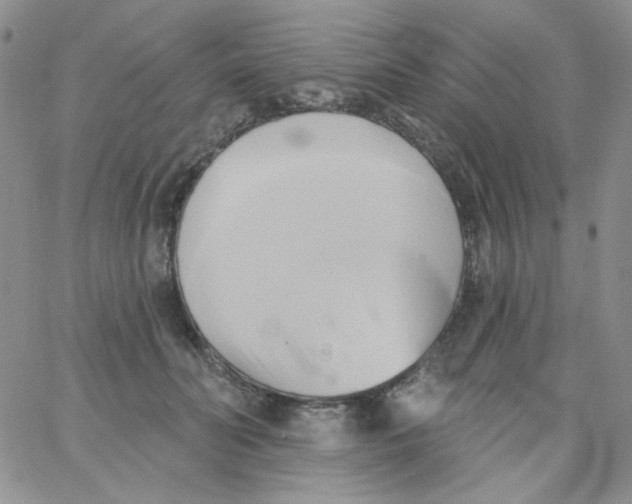 X0000062910606200602031859