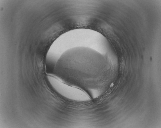 X0000062910608200602031859