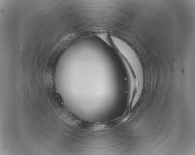 X0000062910609200602031859