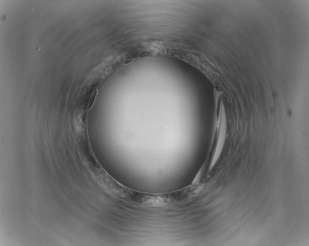 X0000062910611200602031858