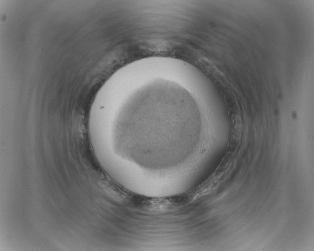 X0000062910612200602031858