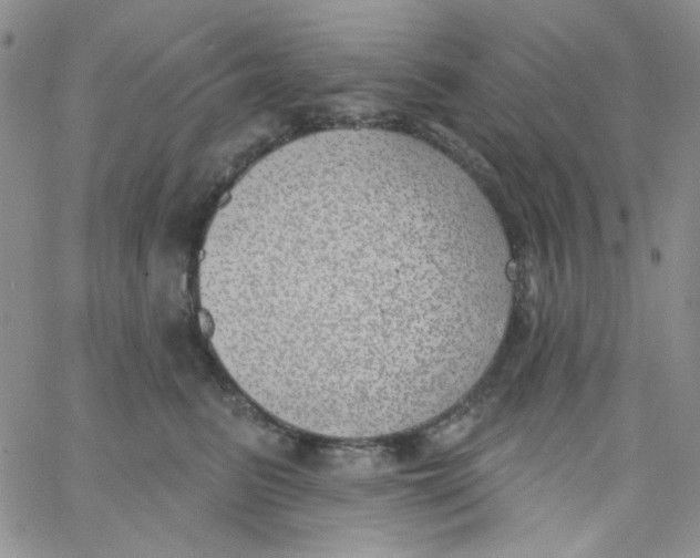 X0000062910615200602031858