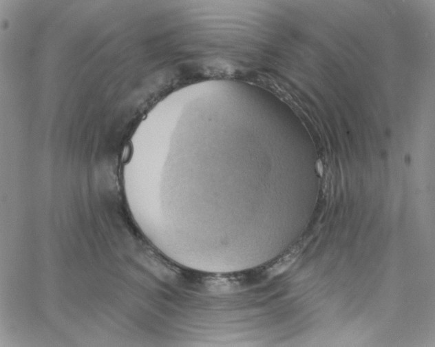 X0000062910616200602031858