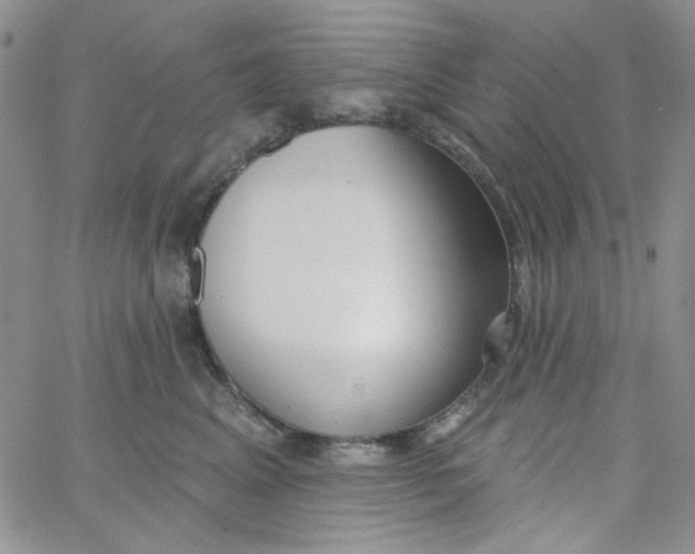 X0000062910617200602031858