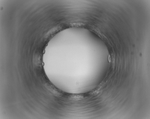 X0000062910619200602031858