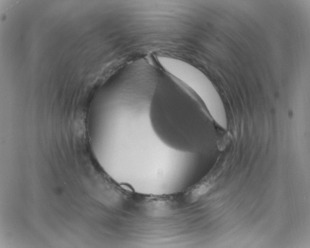 X0000062910620200602031858