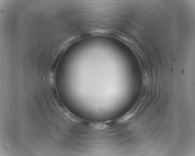 X0000062910621200602031858