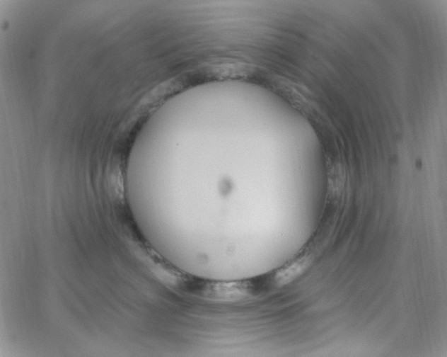 X0000062910622200602031858