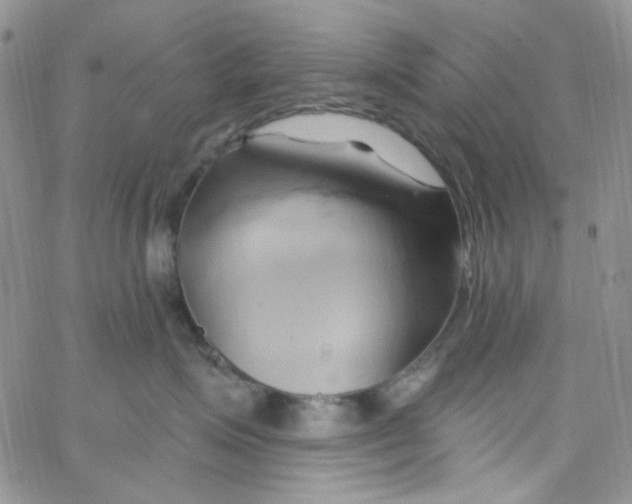 X0000062910623200602031858