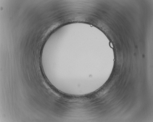 X0000062910625200602031858