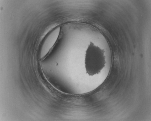 X0000062910626200602031858