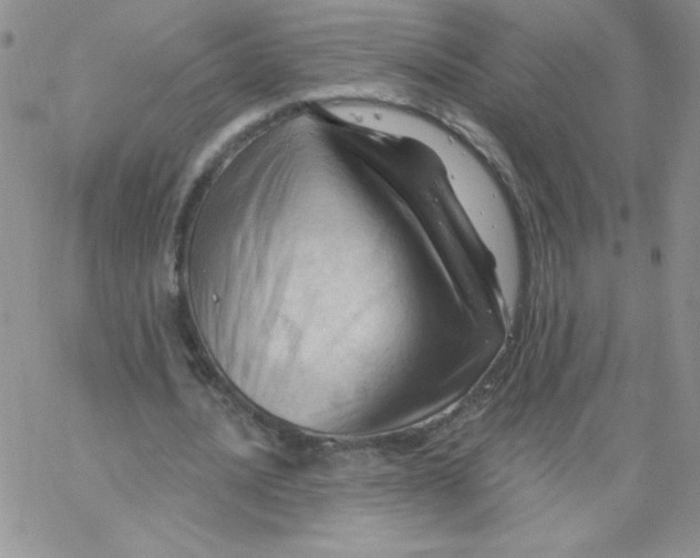 X0000062910628200602031858