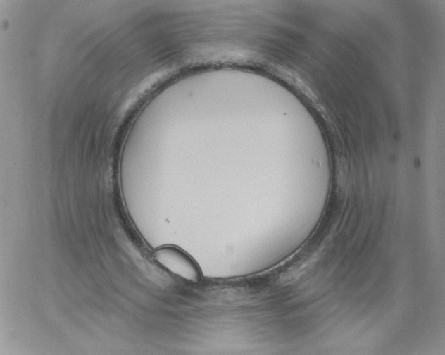 X0000062910629200602031858