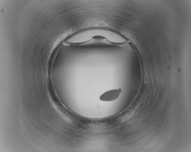 X0000062910630200602031858