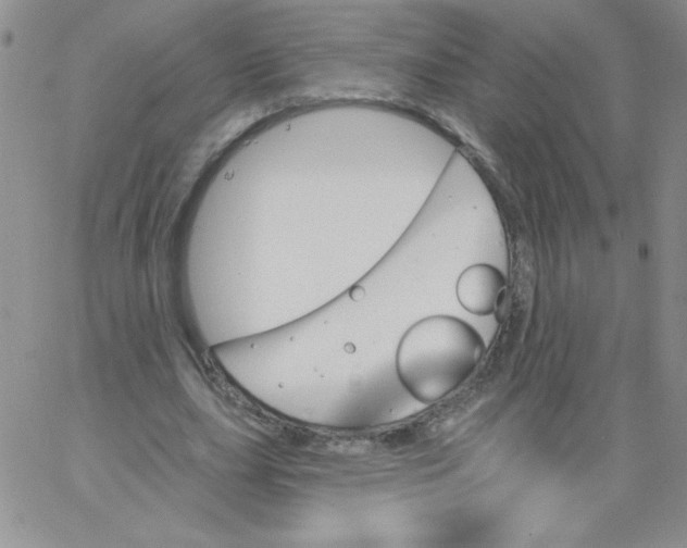 X0000062910631200602031858