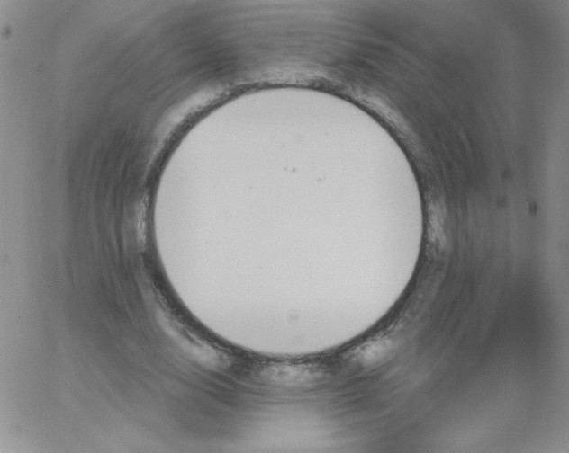 X0000062910632200602031858