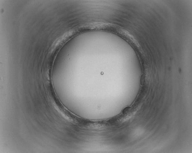 X0000062910633200602031858