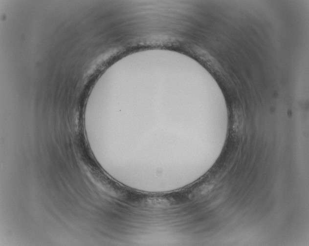 X0000062910636200602031858