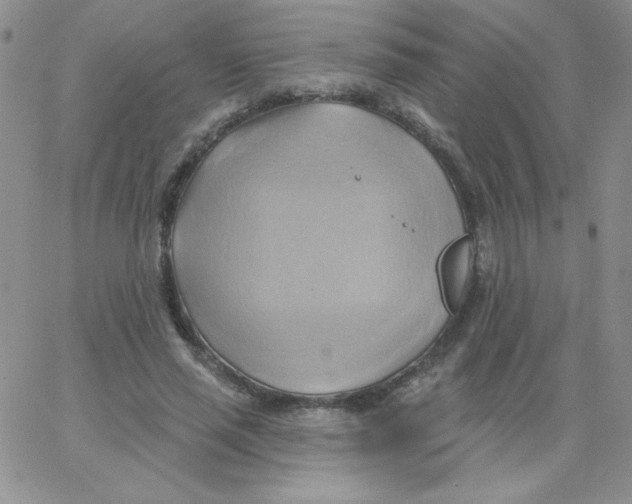 X0000062910637200602031858