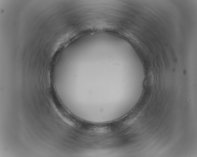 X0000062910638200602031858