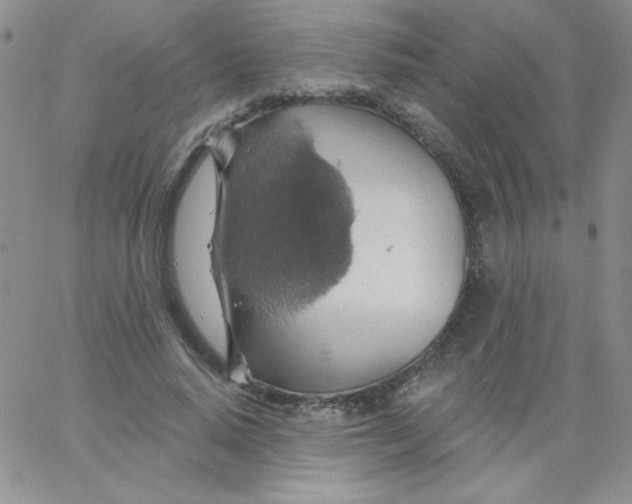 X0000062910640200602031858