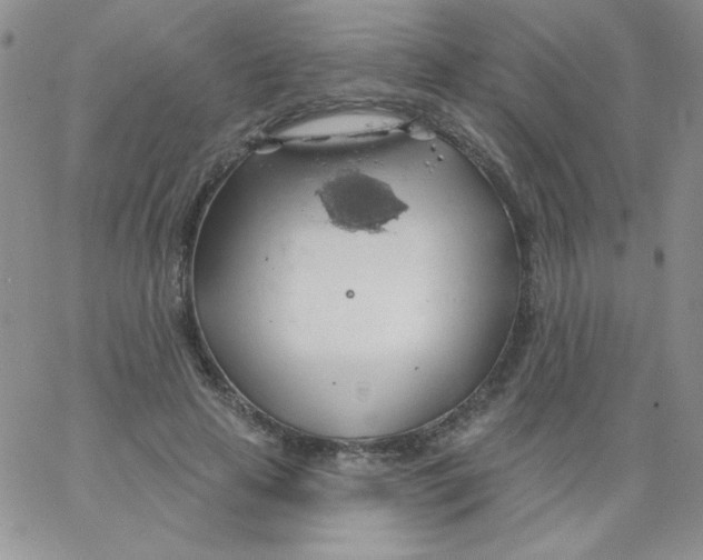 X0000062910641200602031858