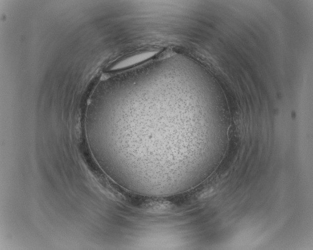 X0000062910642200602031858