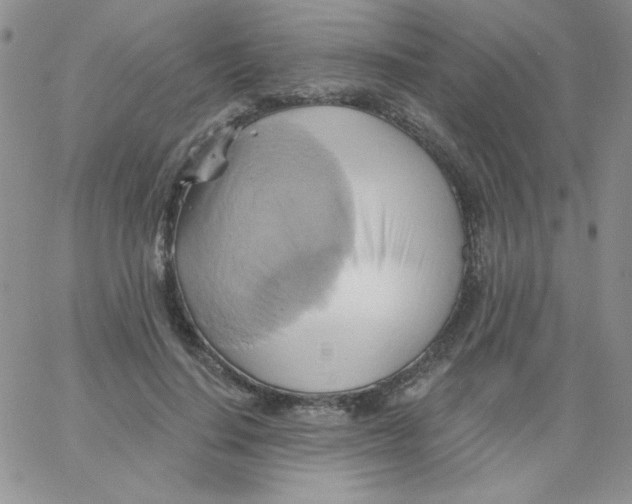 X0000062910644200602031858