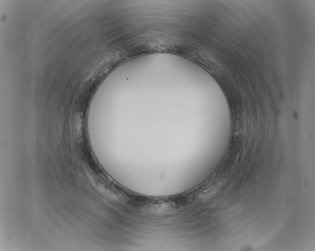 X0000062910646200602031858