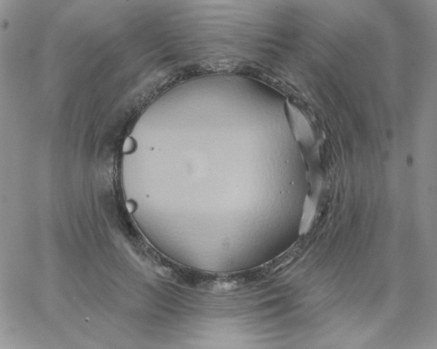 X0000062910647200602031858