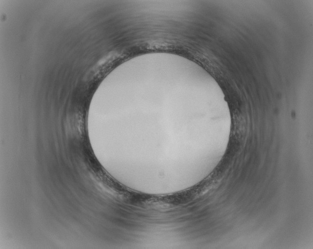 X0000062910648200602031858