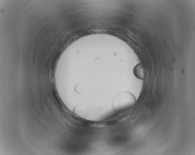 X0000062910651200602031858