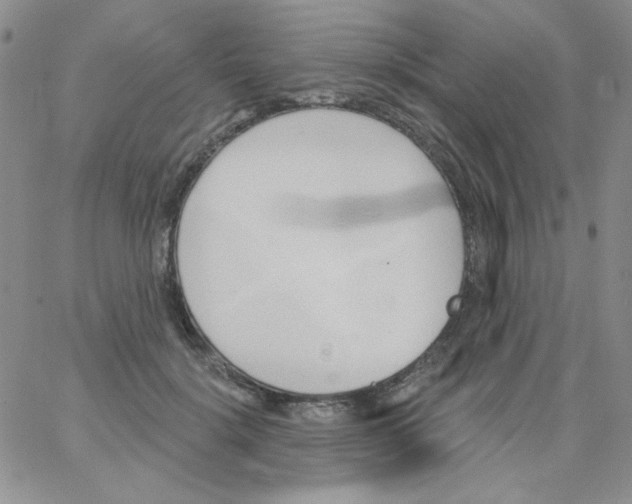 X0000062910652200602031858