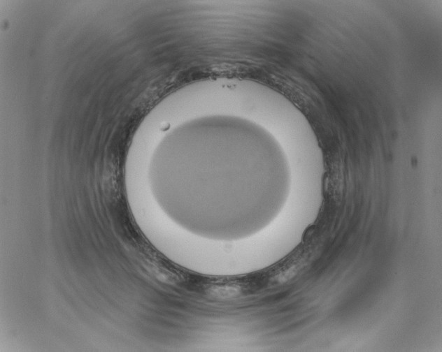 X0000062910653200602031858