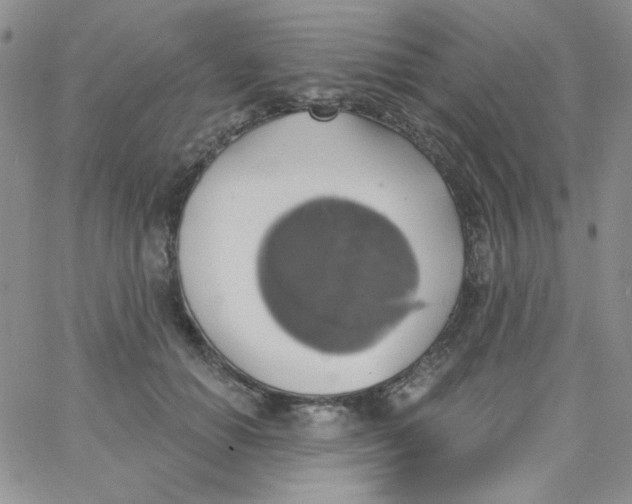 X0000062910654200602031858