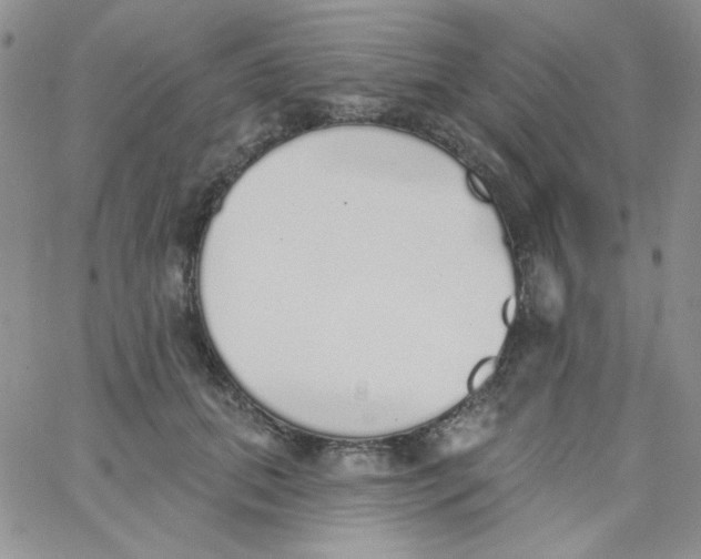 X0000062910655200602031858