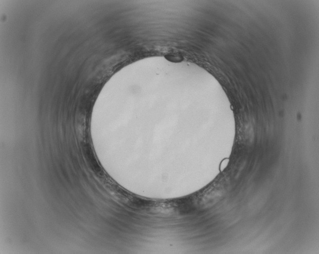 X0000062910656200602031858