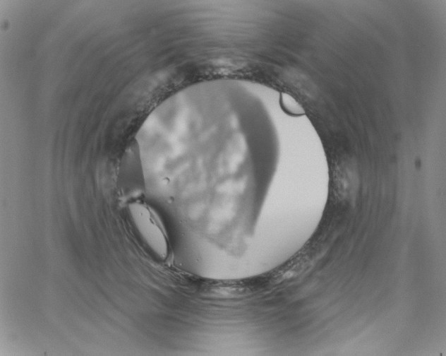 X0000062910657200602031858