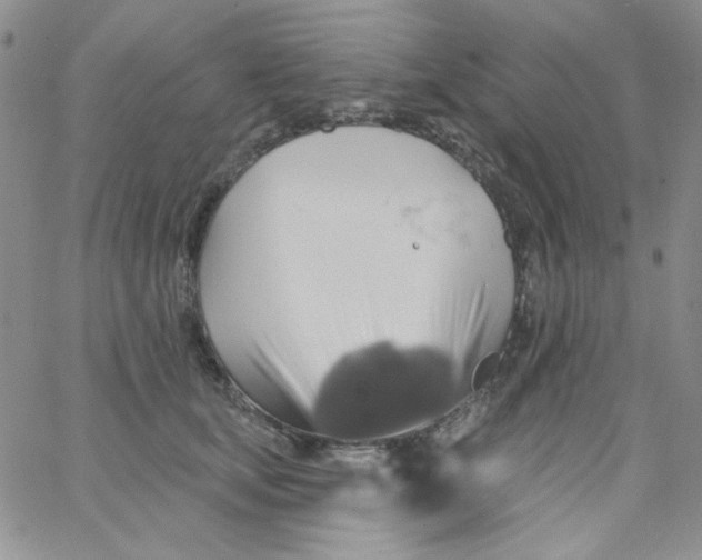 X0000062910659200602031858