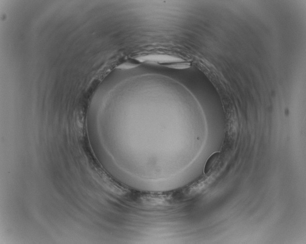 X0000062910661200602031858