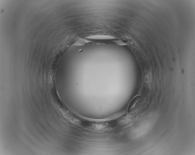 X0000062910662200602031858