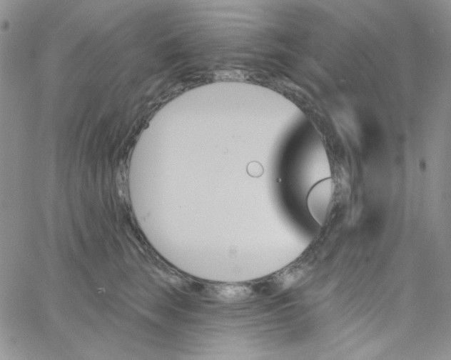 X0000062910663200602031858