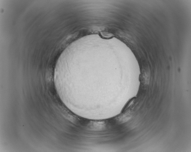 X0000062910665200602031858