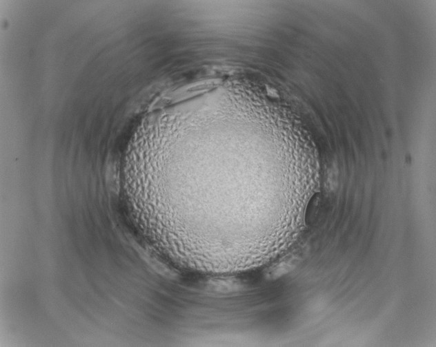 X0000062910666200602031858