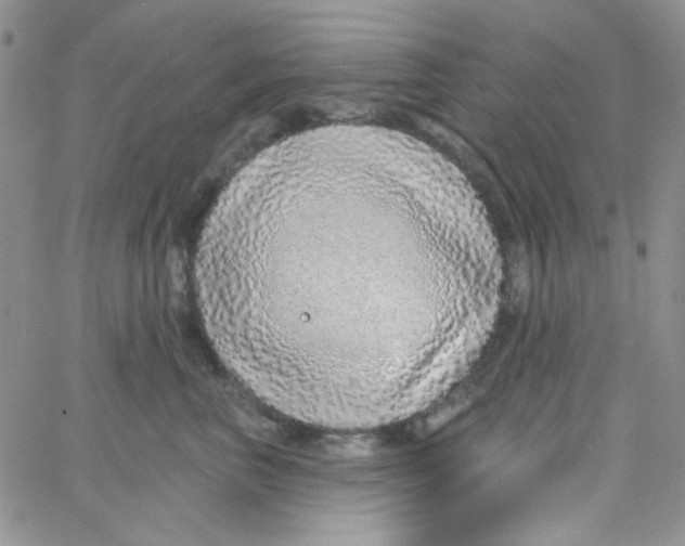 X0000062910667200602031858