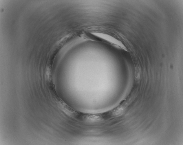 X0000062910669200602031858